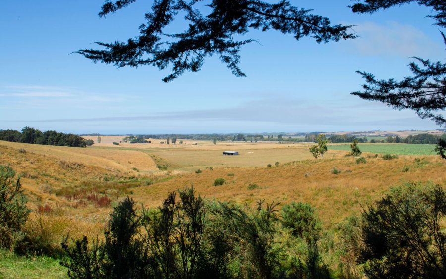 Claremont Bush