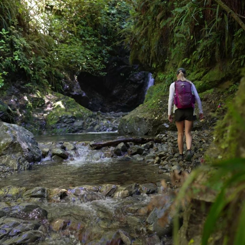 48 hours in Timaru Peel Forest