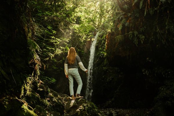 Emily Falls