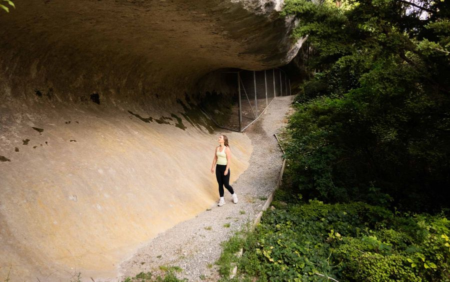 Self drive Māori Rock Art sites