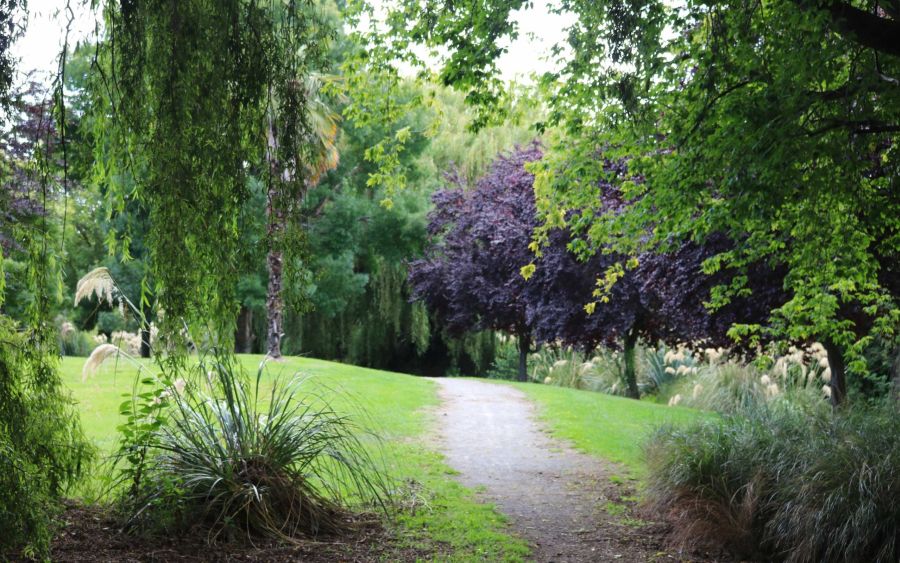 Taumatakahu Stream Reserve
