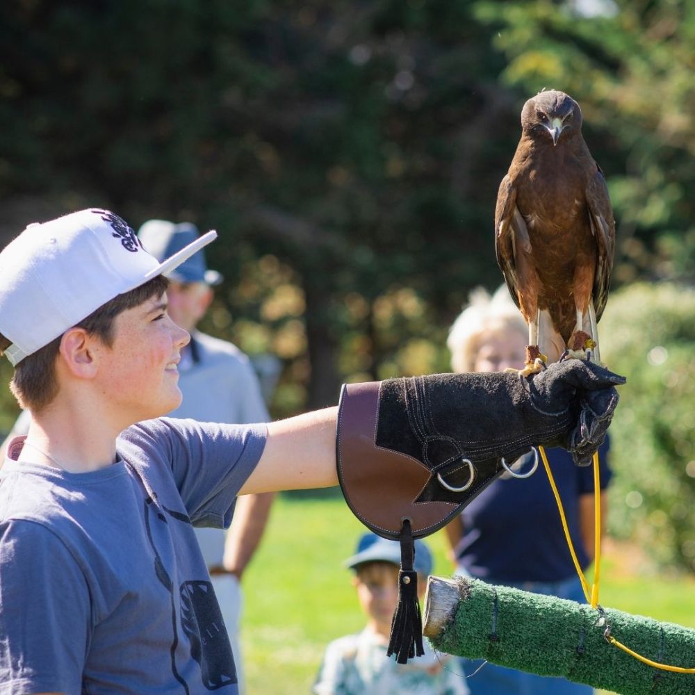 72 hours in Timaru Raptors