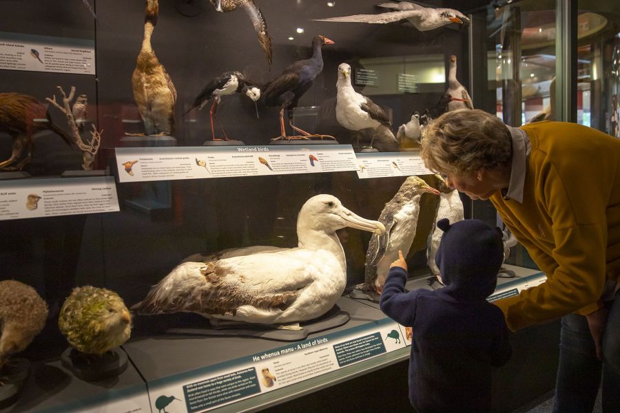 South Canterbury Museum