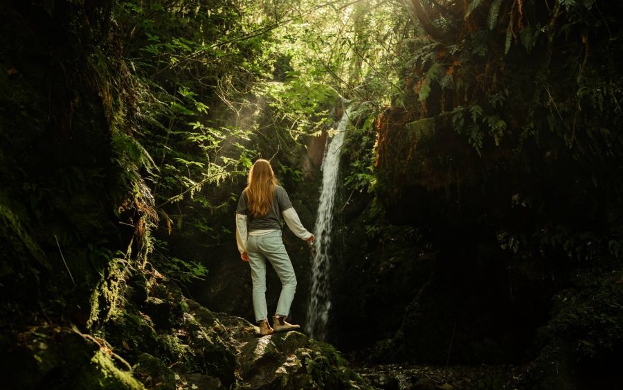 Emily Falls