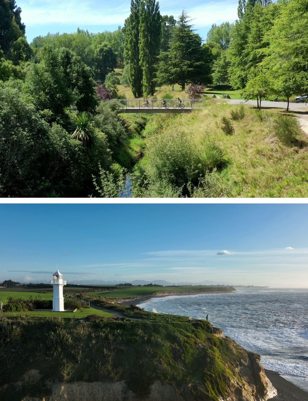 Dog friendly walks Centennial Park and Jack's Point