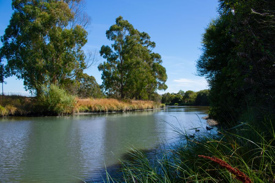 Saltwater Creek