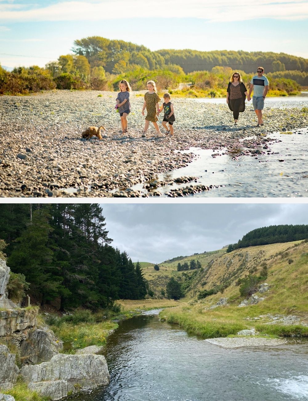 Dog friendly walks Opihi River and Pareora River
