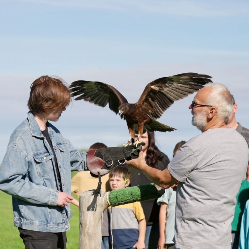 48 hours in Timaru The Raptor Experience