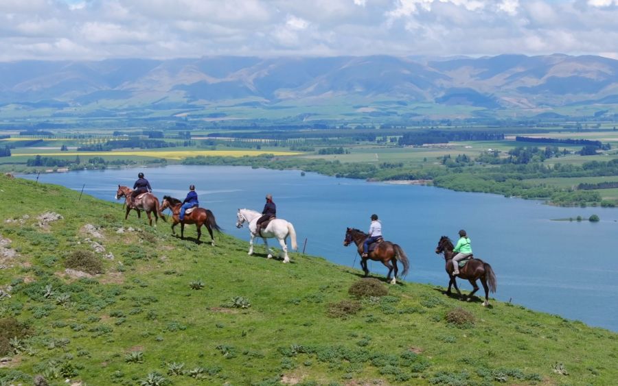 Real Kiwi Horse Trekking