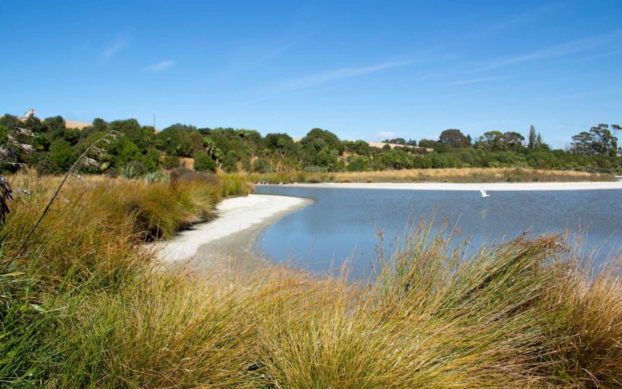 Otipua Wetlands