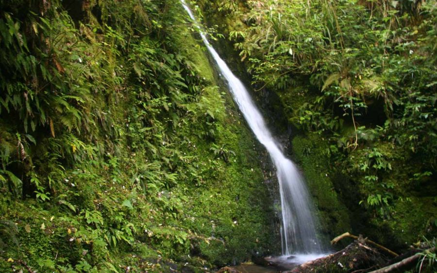 Acland Falls
