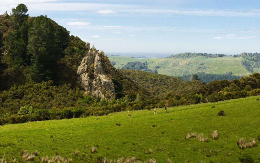 Kakahu Bush Track