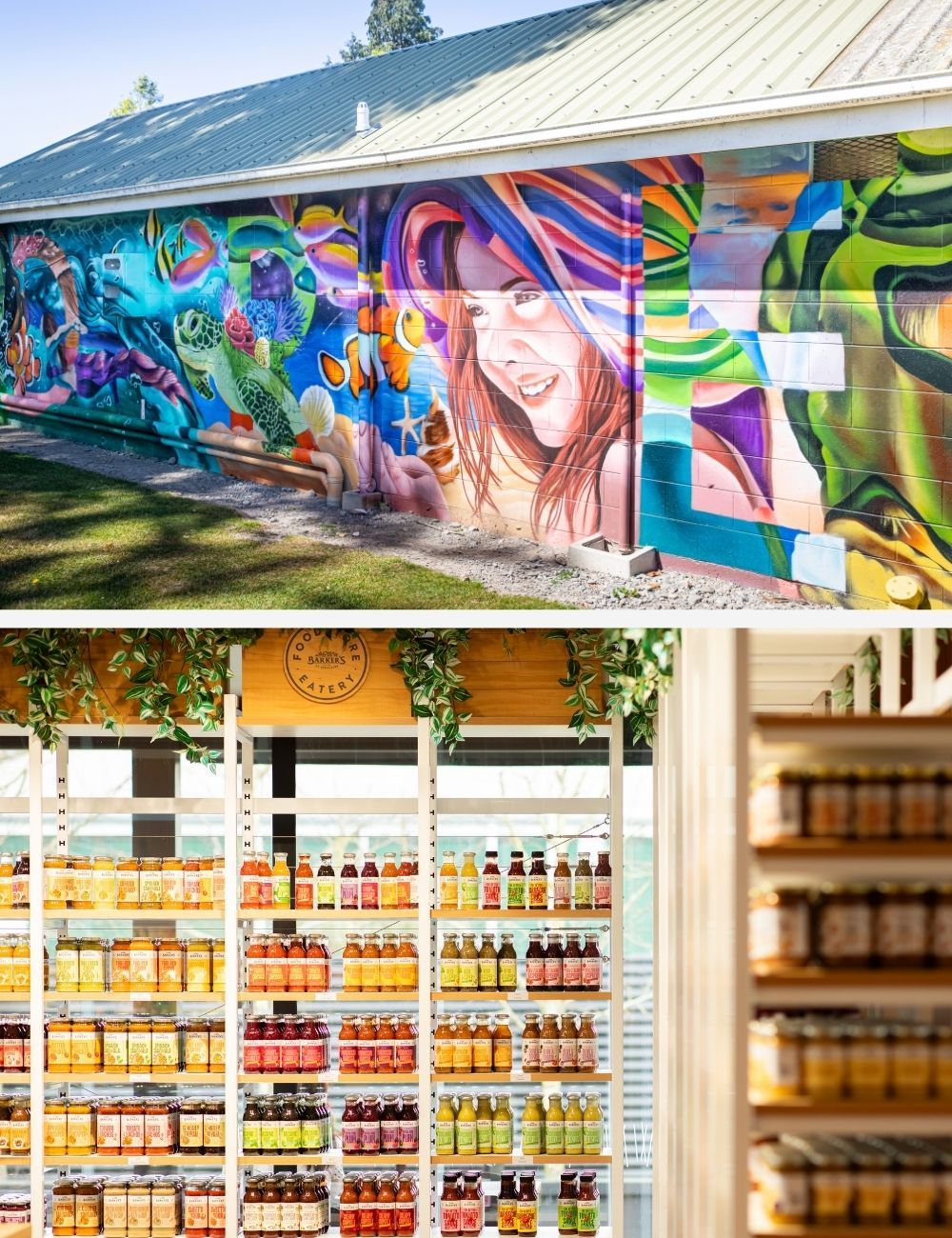 Top 8 things to do in Autumn in the Timaru District street art and shopping