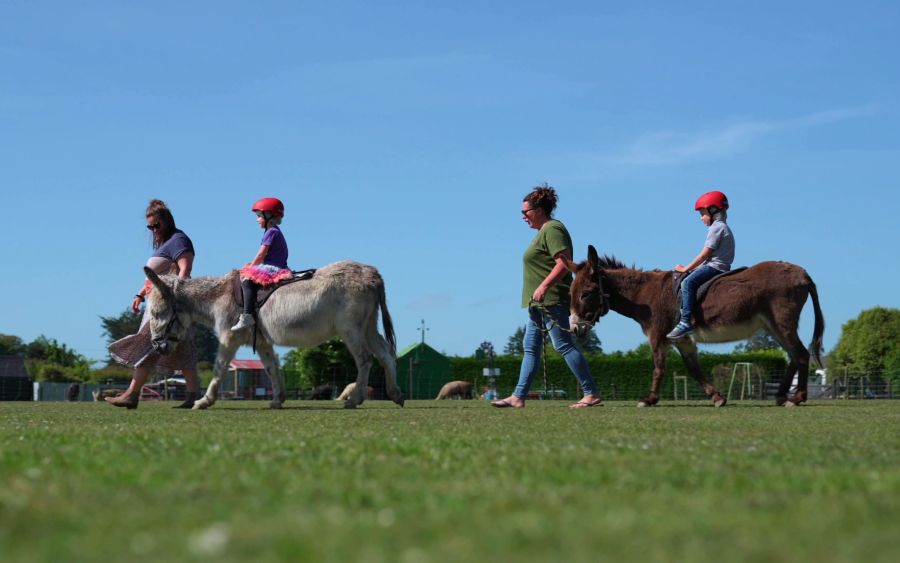 The Farmyard Holiday Park