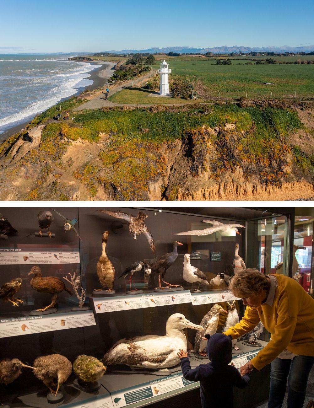 10 free things to do trails and South Canterbury Museum